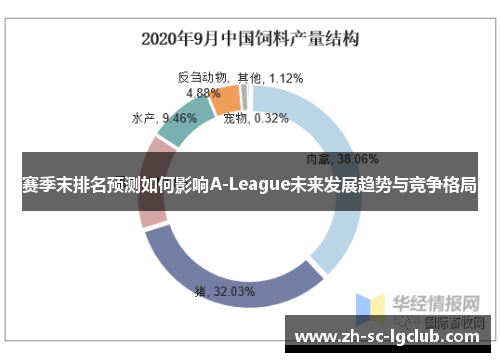 赛季末排名预测如何影响A-League未来发展趋势与竞争格局