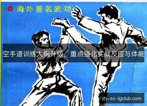 空手道训练大纲升级，重点强化实战反应与体能